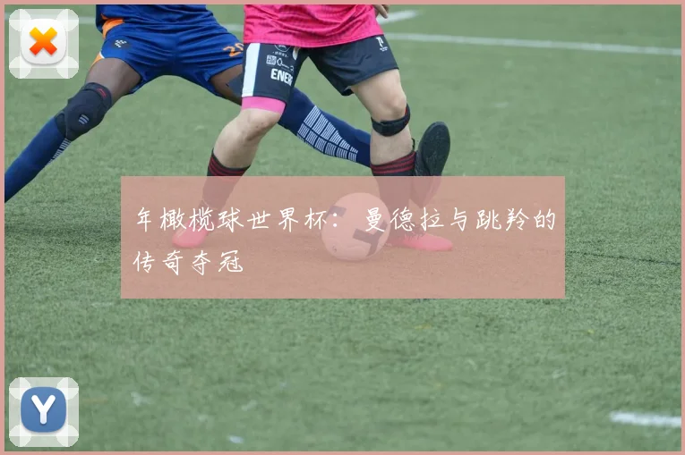 年橄榄球世界杯:曼德拉与跳羚的传奇夺冠