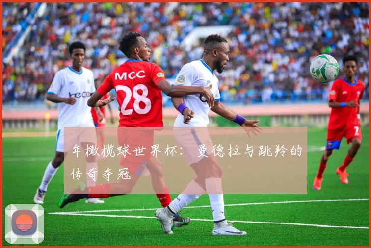 年橄榄球世界杯：曼德拉与跳羚的传奇夺冠